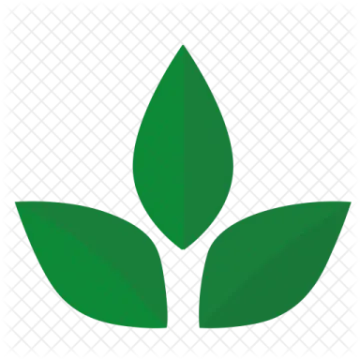 a green leaf icon on a white background
