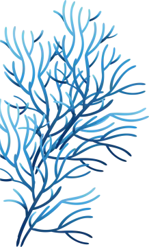 a blue seaweed on a white background