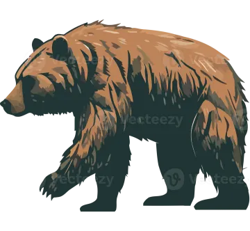 a brown bear on a white background