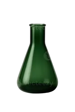 a green glass vase on a white background