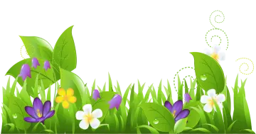 a green background with flowers and butterflies