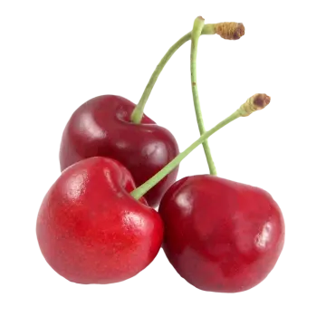 two chers on a white background