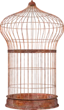 a bird in a cage on a white background