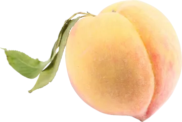 a close up of a peach with a leaf