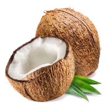 a coconut with leaves on it