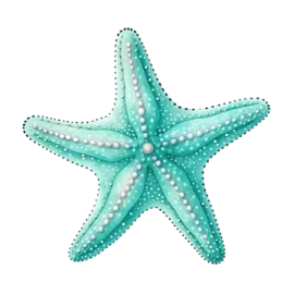a starfish on a white background