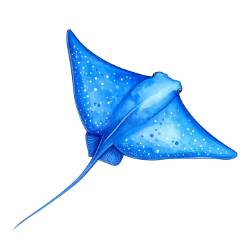 a blue and white spotted manta