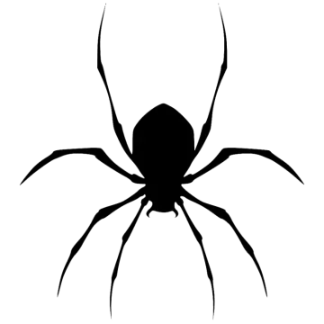 a spider silhouetted on a white background