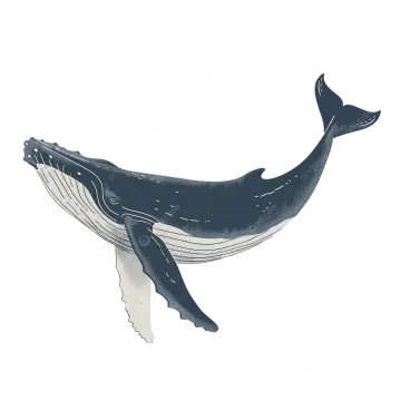 an illustration of a whale in the ocean