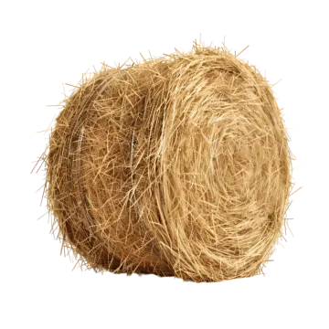 hay bale isolated on white background