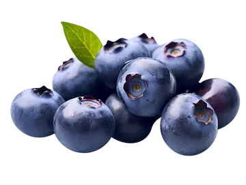 a pile of blueberries