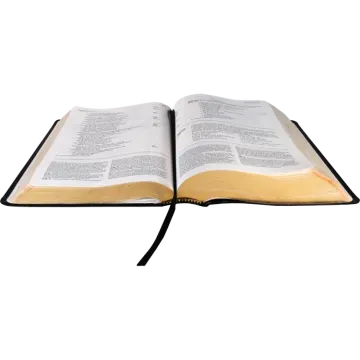 an open bible on a white background
