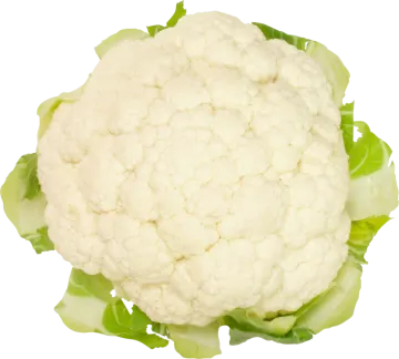a close up of a head of caulide