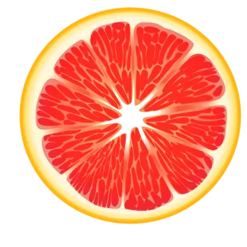 a slice of grape on a white background