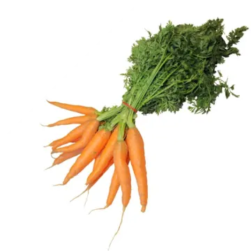 a bunch of carrots on a white background