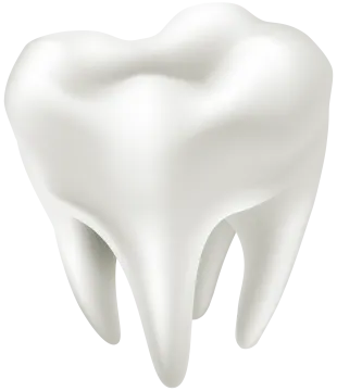 a tooth on a white background