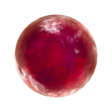 a red sphere with a white background