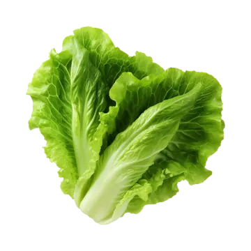 a close up of a green leafy vegetable