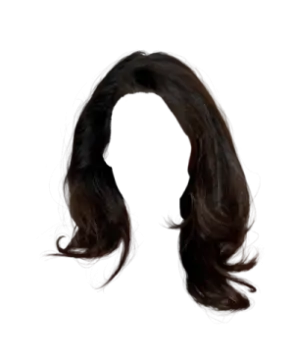 a black wig with long dark hair