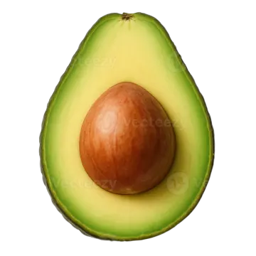 an avocal on a white background