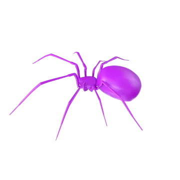 a purple spider on a white background