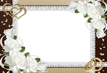 a wedding frame with white roses and gold rings