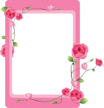 a pink frame with roses on it