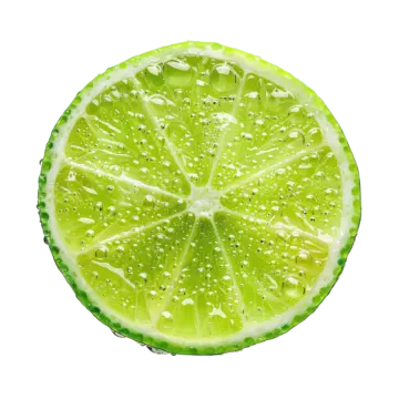 a lime slice with water droplets on it
