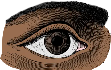 an illustration of a human eye