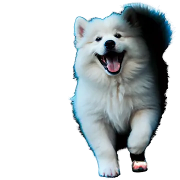 a white and black dog with its mouth open