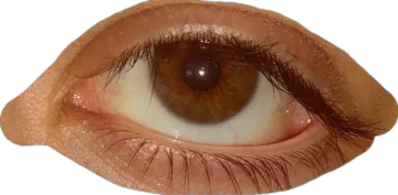 a close up view of an eye