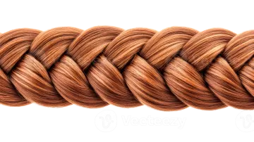 a braid on a white background