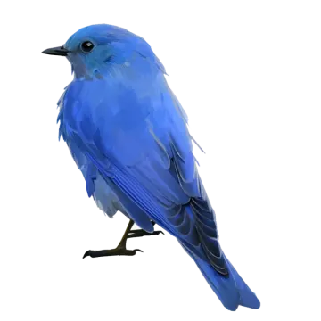 a blue bird sitting on top of a white surface