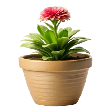 a pink flower sitting in a brown pot