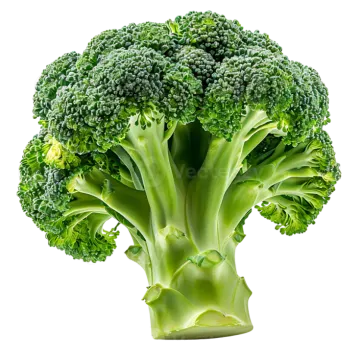 a close up of a piece of broccote