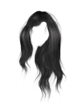 a drawing of a woman's hair