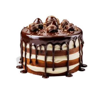 a chocolate covered cake on a white plate