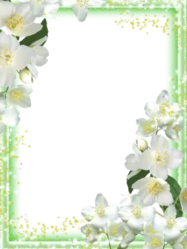 a frame with white flowers on a green background