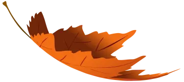 a brown leaf on a white background
