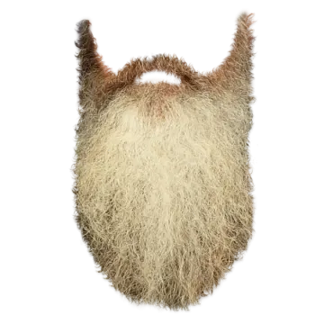 a close up of a beard on a white background