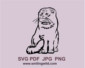 a black and white drawing of a cat sitting on the ground