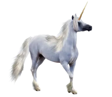 a white unicorn standing on its hinds