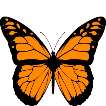 an orange butterfly with black wings
