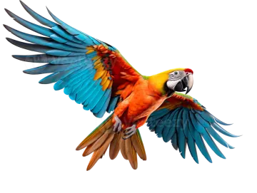 a colorful parrot flying in the air