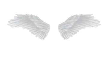 two white wings on a white background