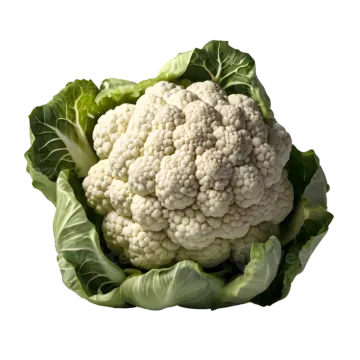 a head of caulia on white background