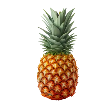 a pineapple on a white background