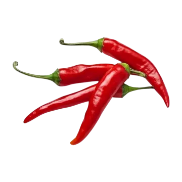 two chili peppers on a white background