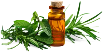 a bottle of pepper oil next to some fresh basil leaves