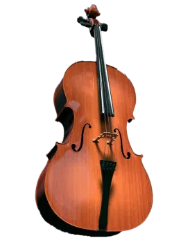 a cello on a white background